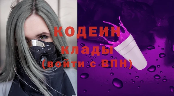 индика Аркадак
