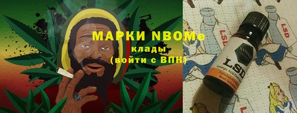 индика Аркадак