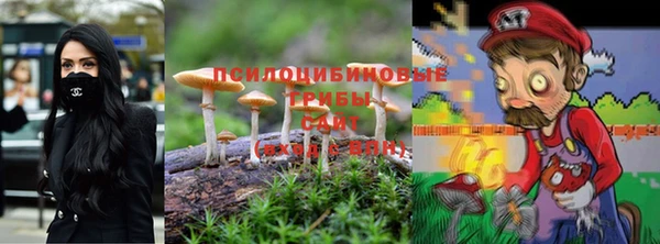 индика Аркадак